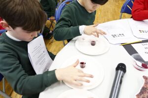 Seder3