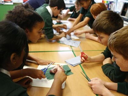 Year 6 - Heart Dissection